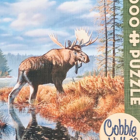 🧩 Cobble Hill Puzzle 🧩 - Picture 4 of 5